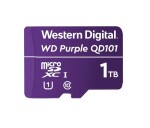 MicroSD 1000 GB QD101 EDF_8100272