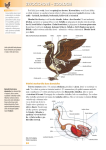 Přírodopis pro základní školy Zoologie botanika,