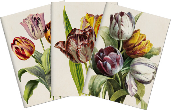 Sada tří notýsků Purple Tulips