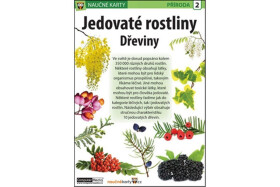 Jedovaté rostliny Dřeviny Naučná karta