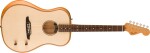 Fender Highway Dreadnought