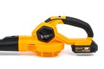 Aku fukar na listí Riwall PRO RABL 20 SET AB42E2101006B
