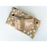 Dekorativní popisovače PILOT Pintor F, sada 4ks + vánoční visačky 10ks