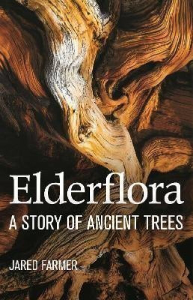 Elderflora : A Modern History of Ancient Trees - Jared Farmer