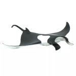 Safari Ltd. Safari Ltd. Manta obrovská