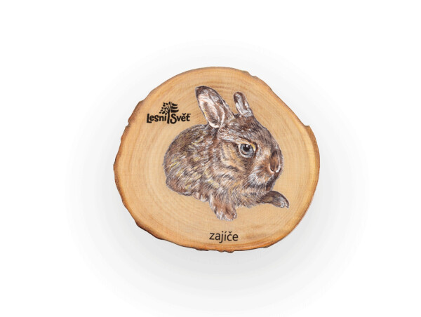 Magnet letokruh - Zajíče
