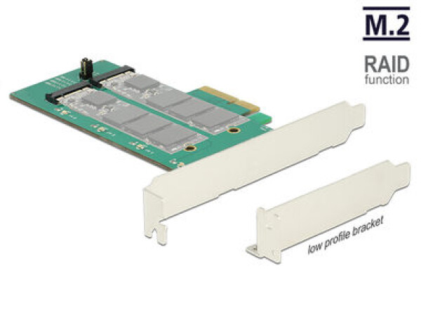 Delock PCI Express Karta 2 x interní M.2 Key B s RAID / format low profile (89536-D)