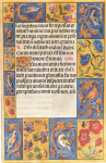 Diář Spinola Hours 2025