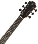 Furch Rainbow G-A W