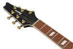 Ibanez IC420FM-TBG