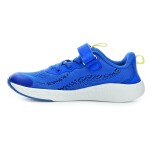 Naw Ehuna Fly Cobalt Blue