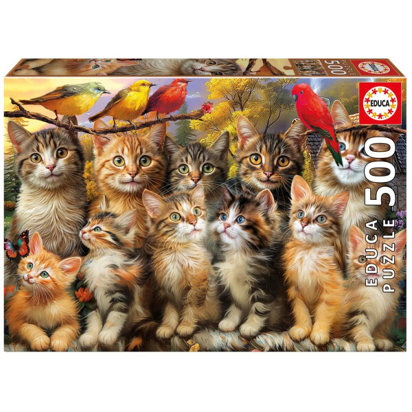 Puzzle Kočky a ptáci 500 dílků
