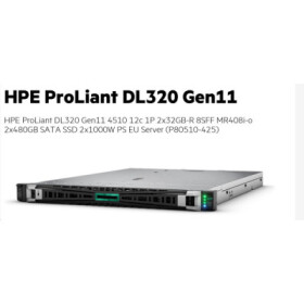 HPE DL320 G11 4510 P80510-425 EDF_1580579357