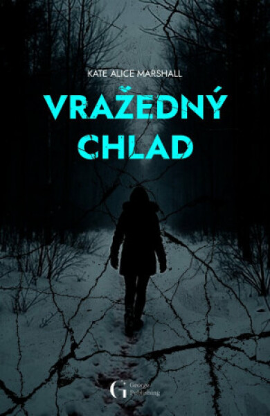Vražedný chlad - Kate Alice Marshall