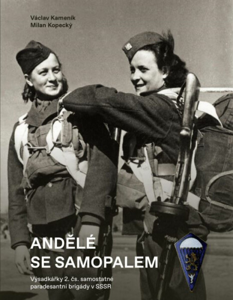 Andělé se samopalem - Milan Kopecký, Kameník Václav