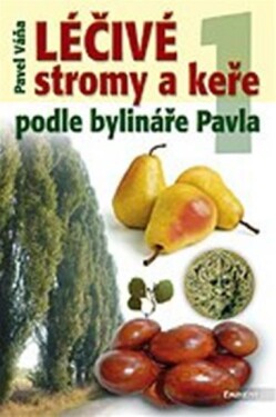 Léčivé stromy keře