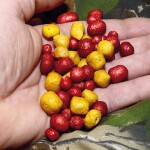 Chytil Pufovaný chleba - Mango,Chytil Pufovaný chleba - Mango