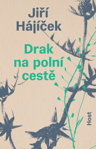 Drak na polní cestě (poškozená) - Jiří Hájíček