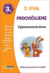 Vyjmenovaná slova 3. třída procvičujeme - Zábavný pracovní sešit - Kolektiv