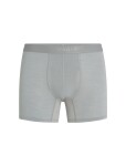 Pánské merino boxerky ICEBREAKER Mens 125 ZoneKnit Boxers, Alloy velikost: S
