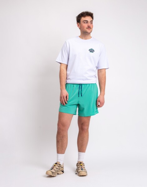 Patagonia M's Trailfarer Shorts - 6" Aqua Stone L