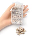Přírodní mořské mini mušle bez dírky - sada v krabičce 50g - cca 6 ~ 18 mm - 1 balení