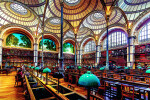 Nástěnný kalendář 2026 Graspo - Bibliotheca