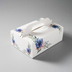 Výslužková krabice s rukojetí Blue 26x18x9,5cm