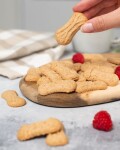 Vilgain Špaldové sušenky BIO – kokos 100 g