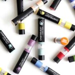 Chameleon CHAMELEON, CT4503, Color tops, tonovací nástavce pro popisovače, 5 ks, Earth tones