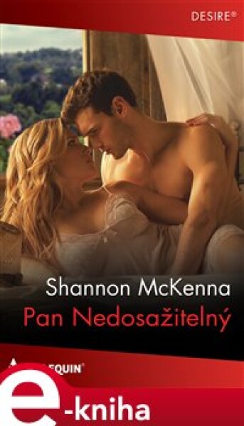 Pan Nedosažitelný - Shannon McKenna e-kniha