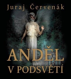 Anděl v podsvětí - CDmp3 (Čte Marek Holý) - Juraj Červenák