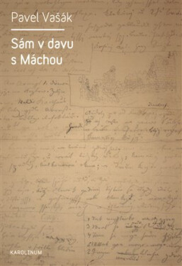 Sám v davu s Máchou - Pavel Vašák