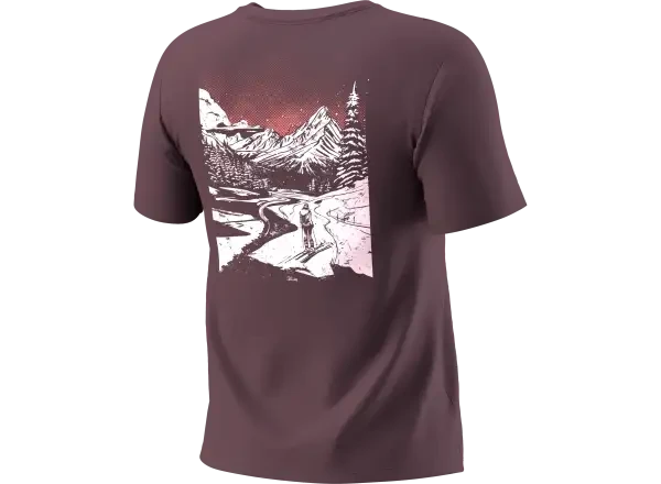 Dynafit Back Graphic Cotton dámské triko krátký rukáv Ephemera/Valley vel. S