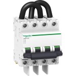 Schneider Electric A9N61652 A9N61652 elektrický jistič 20 A 800 V/DC