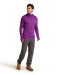 ICEBREAKER Mens Mer 260 QuantuMens IV LS Zip Hoodie, Passion (vzorek) velikost: S