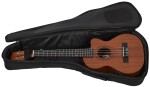 Tanglewood TWT 17 E