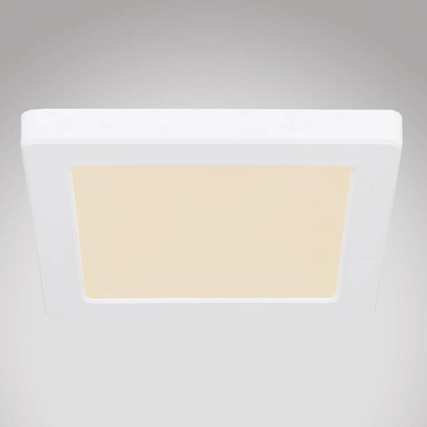 Svítidlo 12380-12W LED 12W bílý PL