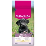 Eukanuba Puppy Large rich in fresh chicken 15kg / granule pro štěňata / pro velká plemena (1724-202916)