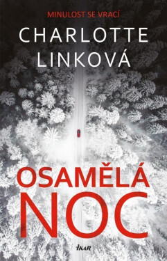 Osamělá noc (poškozená) - Charlotte Linková