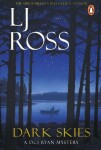 Dark Skies - L. J. Ross