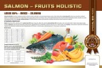 BARDOG SALMON FRUIT HOLISTIC 4 kg