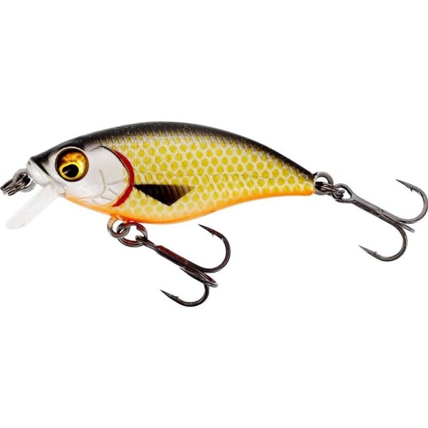 Westin Wobler BuzzBite SR Crankbait Low Floating Official Roach - 6g 5cm,Westin Wobler BuzzBite SR Crankbait Low Floating Official Roach - 6g 5cm