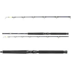 Daiwa Prut Tanacom Ultra Deep 2,1m 400-1000g (11806-216)
