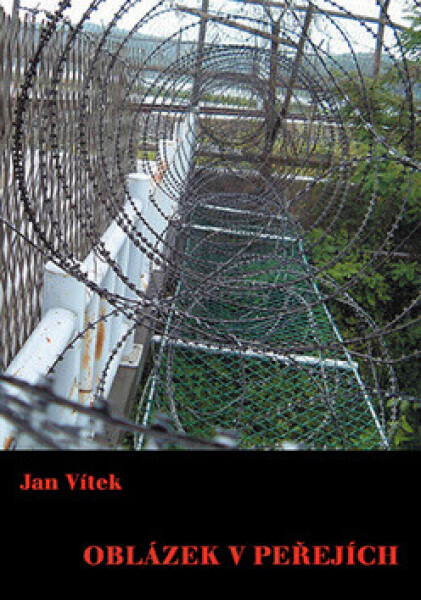 Oblázek v peřejích - Jan Vítek