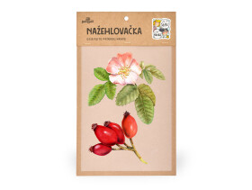 Nažehlovačka M 018 - Šípek