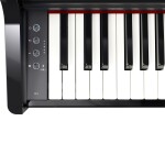 Roland GP-3