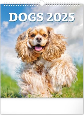 Kalendář 2025 nástěnný: Psi, 30 34 cm