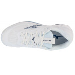 Boty Mizuno Wave Stealth 6 M X1GA243096 46