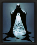 Obraz 3D Batman - Gotham protector - Pyramid